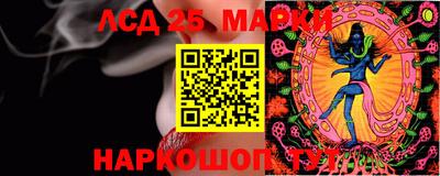 ГАЛЛЮЦИНОГЕННЫЕ ГРИБЫ Гусев