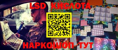 ГАЛЛЮЦИНОГЕННЫЕ ГРИБЫ Гусев