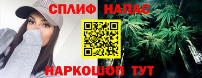 ГАЛЛЮЦИНОГЕННЫЕ ГРИБЫ Гусев