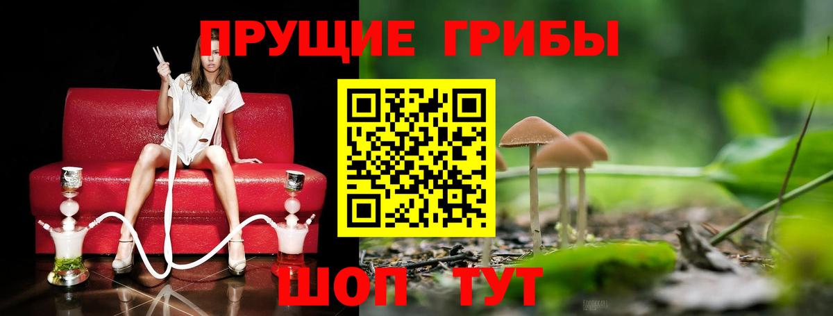 Псилоцибиновые грибы MAGIC MUSHROOMS  Псилоцибиновые грибы ЛСД  Новороссийск  Вход с VPN 